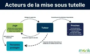 Schéma des acteurs de la tutelle : juge, tuteur, proches et personne protégée. Les proches peuvent devenir tuteur d'un membre de leur famille.