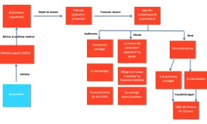 Schéma du processus de mise sous tutelle : du dépôt de dossier à la décision du juge, incluant l'audition et la désignation d'un tuteur.