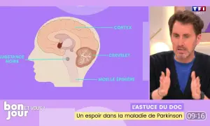 Un homme parle d'un espoir dans la maladie de Parkinson, illustré par un schéma du cerveau montrant la substance noire.