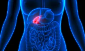 Anatomie humaine, vésicule biliaire rouge vif, suggérant une douleur au foie et au dos.