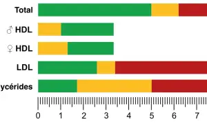 Graphique illustrant un bilan lipidique complet : taux total, HDL (homme/femme), LDL et triglycérides, avec des barres colorées indiquant les niveaux.
