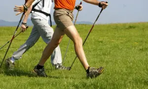 Deux personnes pratiquent la marche nordique en pleine nature, profitant des bienfaits de cette activité pour les seniors.