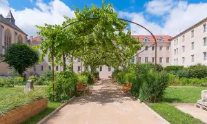 Allée ombragée des jardins d'Arcadie, invitant à la contemplation. Conditions d'admission : trouver la sérénité. Bancs de bois sous la vigne.