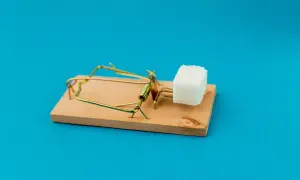 Piège à souris avec un morceau de sucre. Attention aux offres trop alléchantes pour comment choisir sa mutuelle senior.