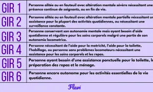 Tableau des GIR. La définition du GIR 5 indique une personne ayant besoin d'une assistance ponctuelle pour la toilette, la préparation des repas et le ménage.