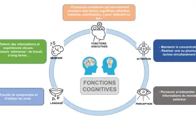 Schéma des fonctions cognitives : mémoire, langage, perception, attention, fonctions exécutives. Une dégradation de ces fonctions peut indiquer une démence sénile.