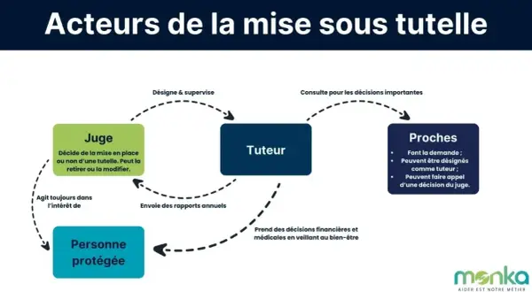 Schéma des acteurs de la tutelle : juge, tuteur, proches et personne protégée. Les proches peuvent devenir tuteur d'un membre de leur famille.
