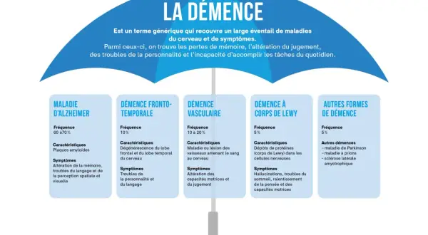 Schéma comparant différents types de démence, dont la démence vasculaire. L'espérance de vie varie selon la forme.