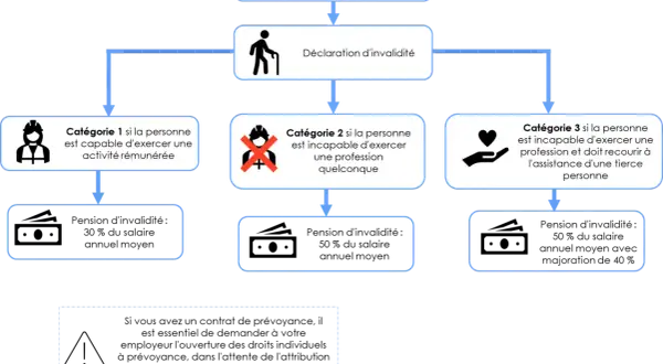 Diagramme expliquant les catégories d'invalidité. La catégorie 2 concerne une personne incapable d'exercer une profession.