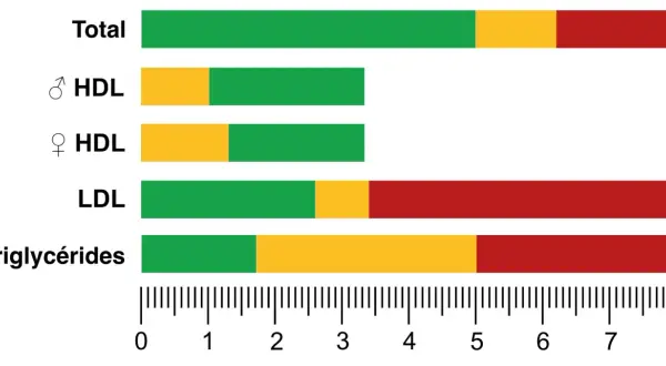 Graphique illustrant un bilan lipidique complet : taux total, HDL (homme/femme), LDL et triglycérides, avec des barres colorées indiquant les niveaux.