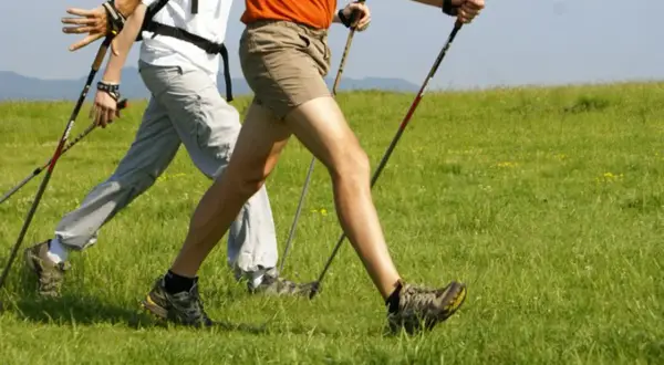 Deux personnes pratiquent la marche nordique en pleine nature, profitant des bienfaits de cette activité pour les seniors.