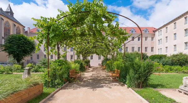 Allée ombragée des jardins d'Arcadie, invitant à la contemplation. Conditions d'admission : trouver la sérénité. Bancs de bois sous la vigne.