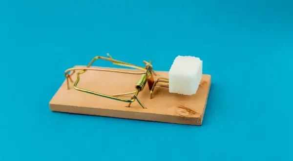 Piège à souris avec un morceau de sucre. Attention aux offres trop alléchantes pour comment choisir sa mutuelle senior.