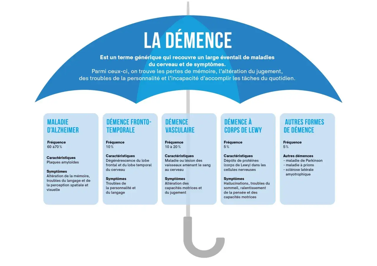 Schéma comparant différents types de démence, dont la démence vasculaire. L'espérance de vie varie selon la forme.