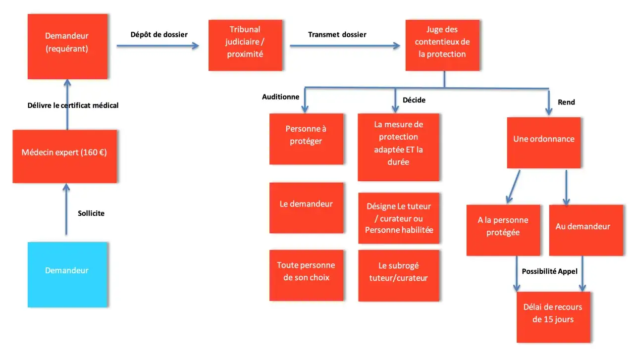 Sch&eacute;ma expliquant comment le juge des contentieux de la protection peut d&eacute;cider si peut on mettre quelqu'un sous tutelle sans son accord.