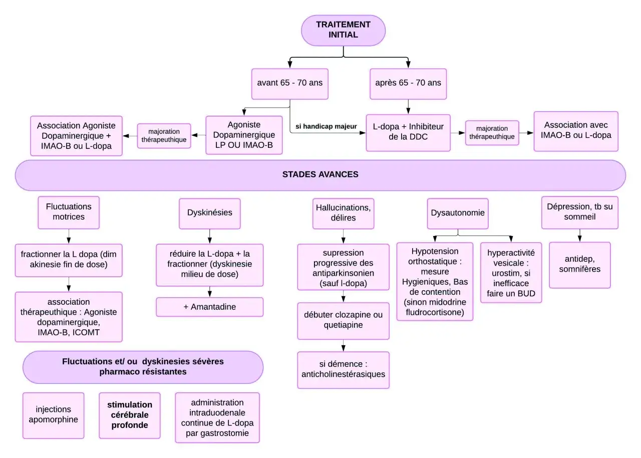 Algorithme de traitement de la maladie de Parkinson, explorant les options pour un cas gu&eacute;rison. Il d&eacute;taille les &eacute;tapes et les m&eacute;dicaments selon l'&acirc;ge et les sympt&ocirc;mes.
