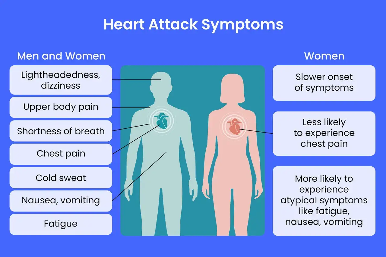 Sympt&ocirc;mes d'infarctus : fatigue intense, vertige, palpitations, sueurs froides, naus&eacute;es. Les femmes peuvent avoir des sympt&ocirc;mes atypiques.