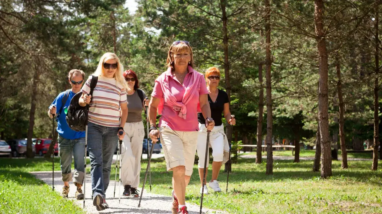 Seniors profitent de la marche nordique en forêt, une activité bénéfique pour leur santé et leur bien-être.