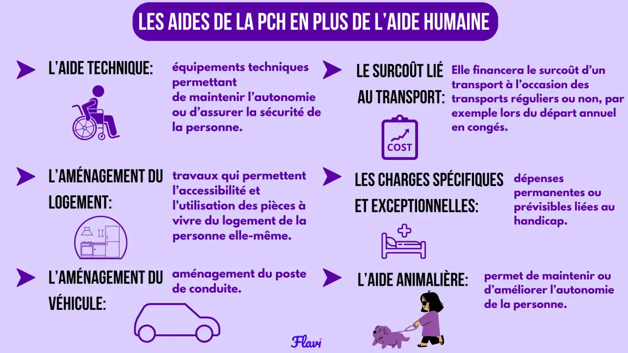Ce sch&eacute;ma d&eacute;taille les aides de la PCH, comme l'am&eacute;nagement du logement ou du v&eacute;hicule, pour un pch montant.