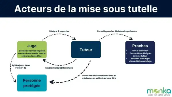 Schéma des acteurs de la tutelle : juge, tuteur, proches et personne protégée. Les proches peuvent devenir tuteur d'un membre de leur famille.