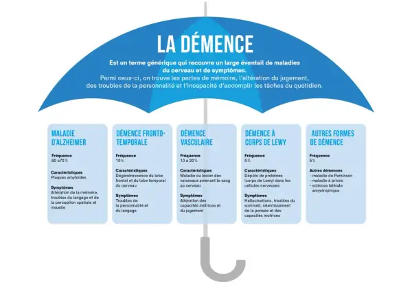 Schéma comparant différents types de démence, dont la démence vasculaire. L'espérance de vie varie selon la forme.