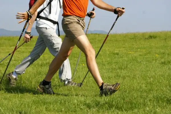 Deux personnes pratiquent la marche nordique en pleine nature, profitant des bienfaits de cette activité pour les seniors.