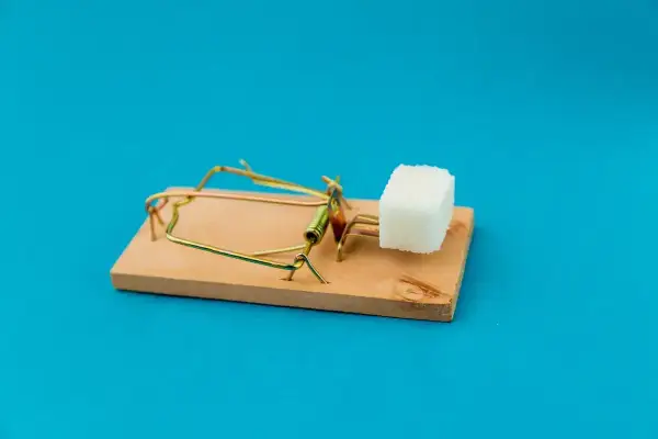 Piège à souris avec un morceau de sucre. Attention aux offres trop alléchantes pour comment choisir sa mutuelle senior.
