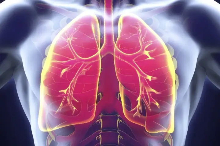 Infection pulmonaire - Traitements et quand s'inquiéter ?